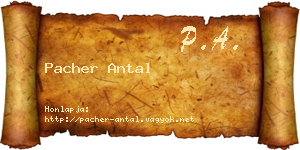 Pacher Antal névjegykártya